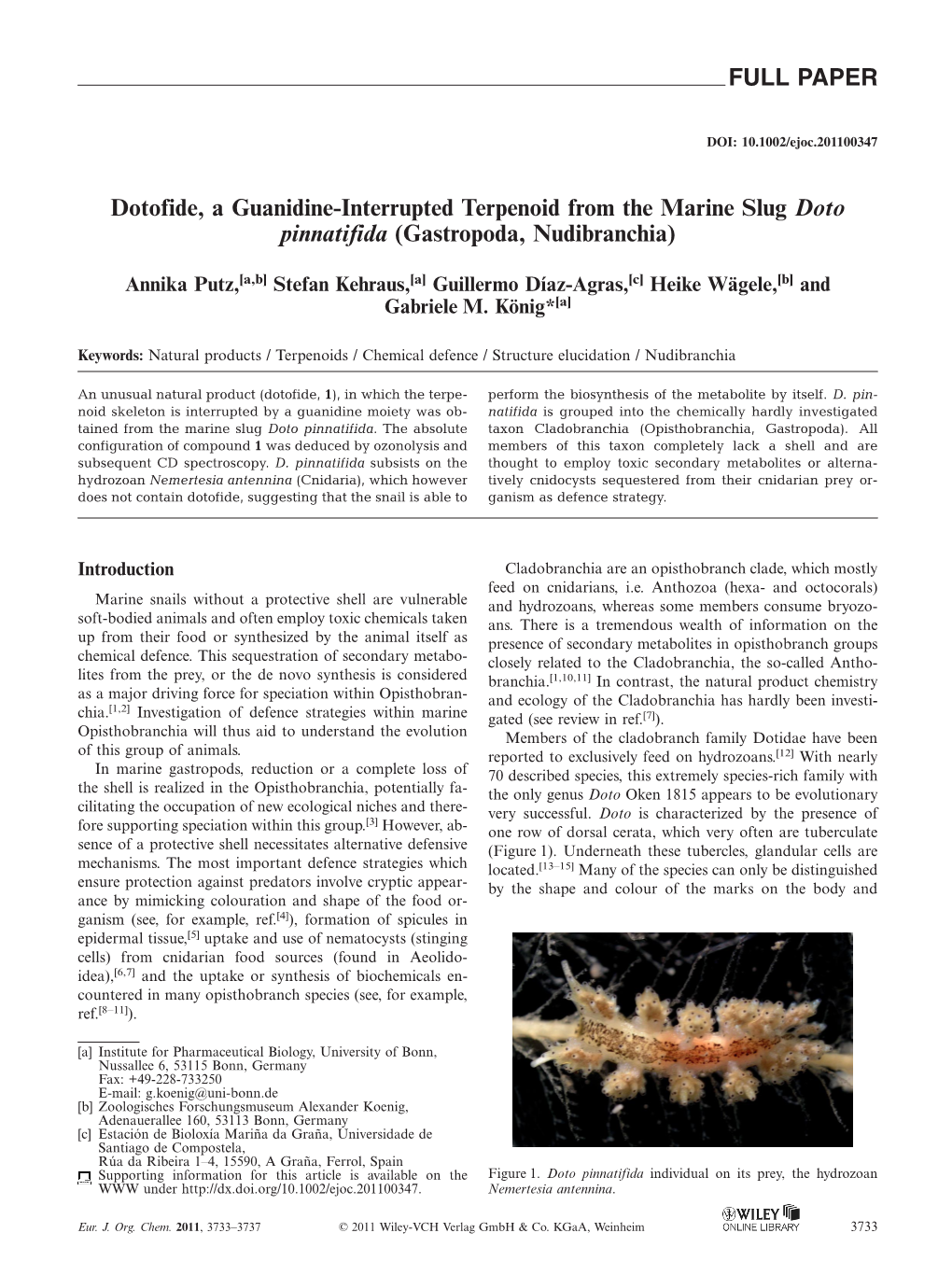Dotofide, a Guanidine-Interrupted Terpenoid from the Marine Slug Doto Pinnatifida (Gastropoda, Nudibranchia)