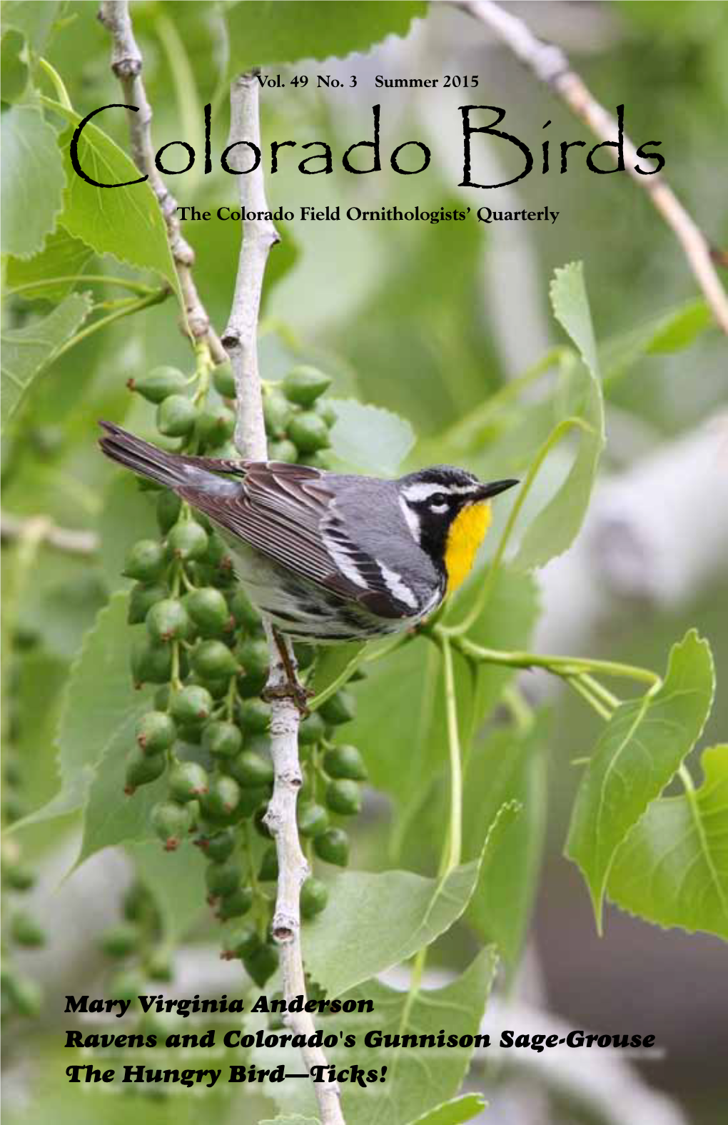 Colorado Birds the Colorado Field Ornithologists’ Quarterly