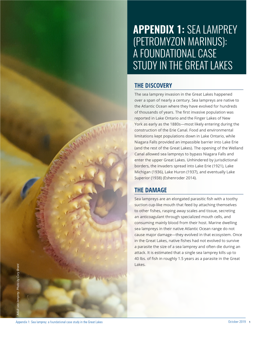 Appendix 1: Sea Lamprey (Petromyzon Marinus): a Foundational Case Study