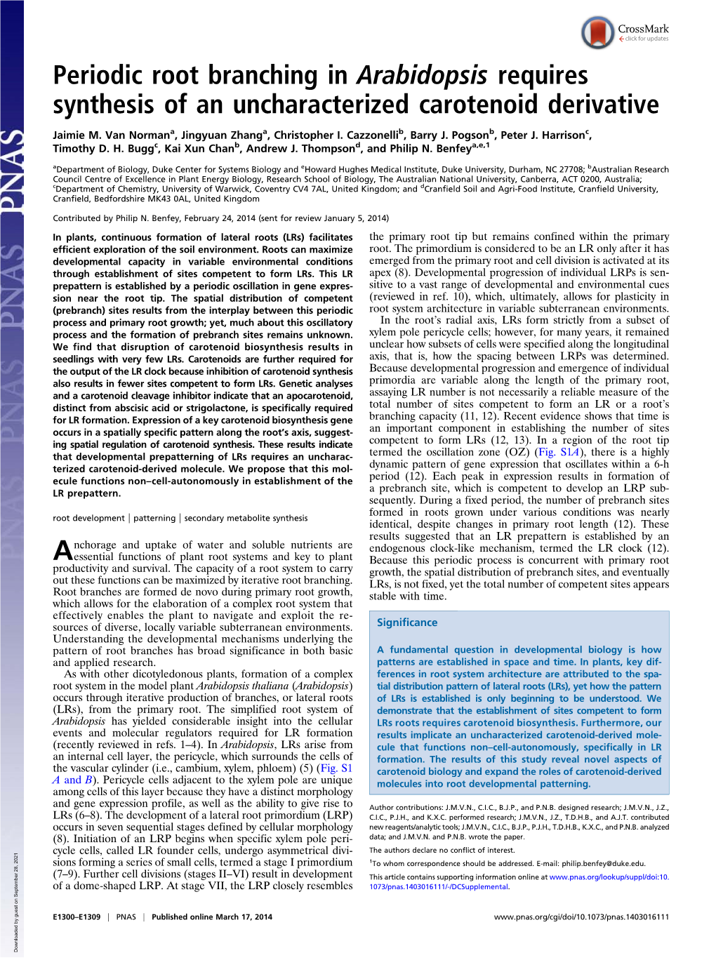 Periodic Root Branching in Arabidopsis Requires Synthesis of an Uncharacterized Carotenoid Derivative