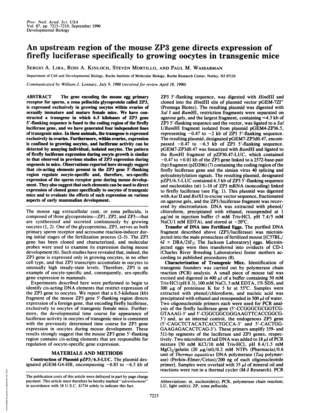 An Upstream Region of the Mouse ZP3 Gene Directs Expression of Firefly Luciferase Specifically to Growing Oocytes in Transgenic Mice SERGIO A