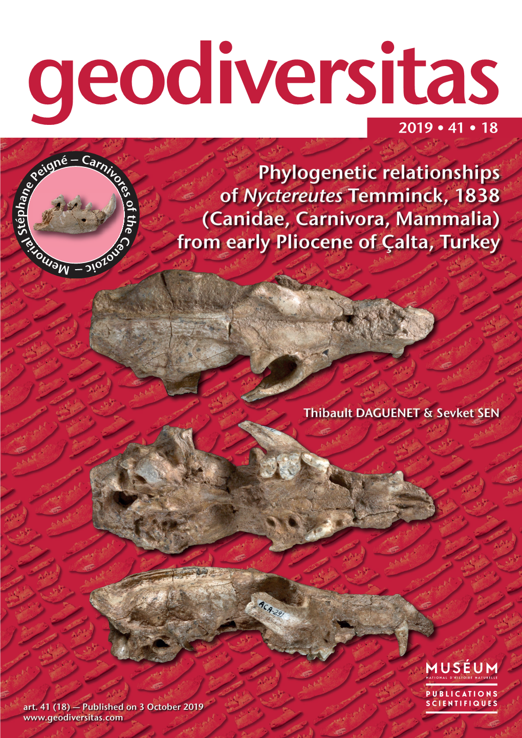 Canidae, Carnivora, Mammalia) from Early Pliocene of Çalta, Turkey