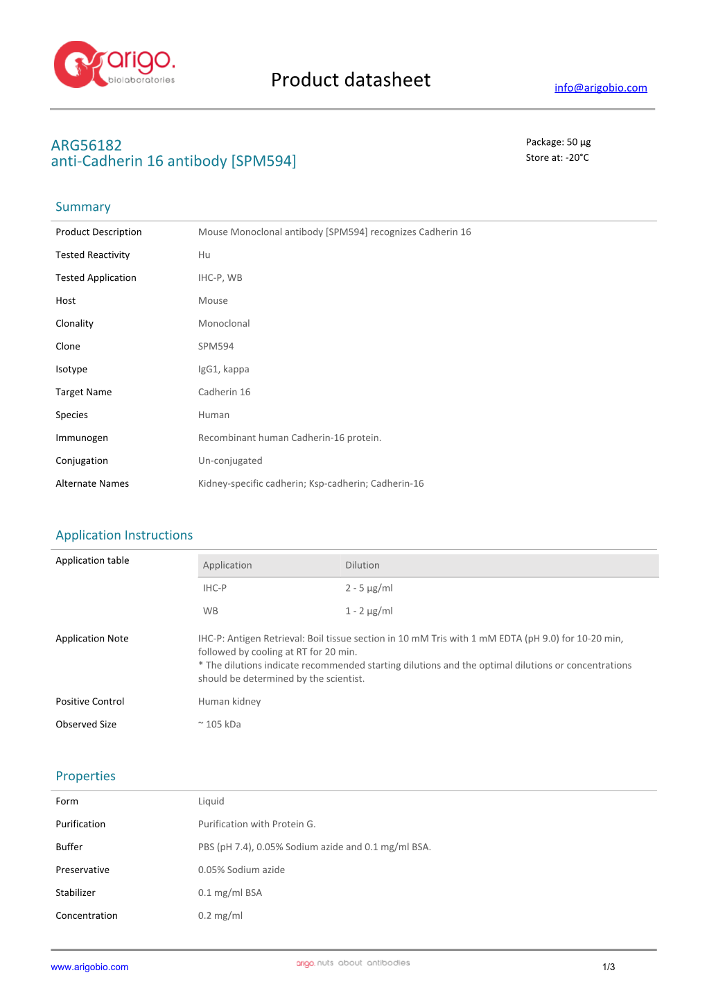 Anti-Cadherin 16 Antibody [SPM594] (ARG56182)