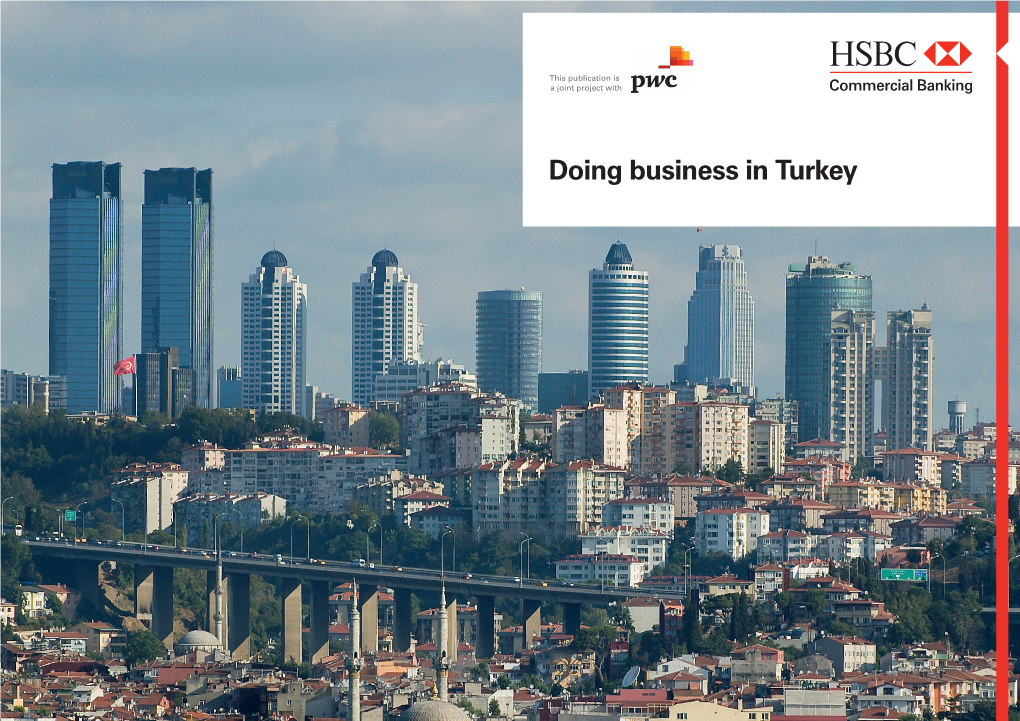 Doing Business in Turkey Contents