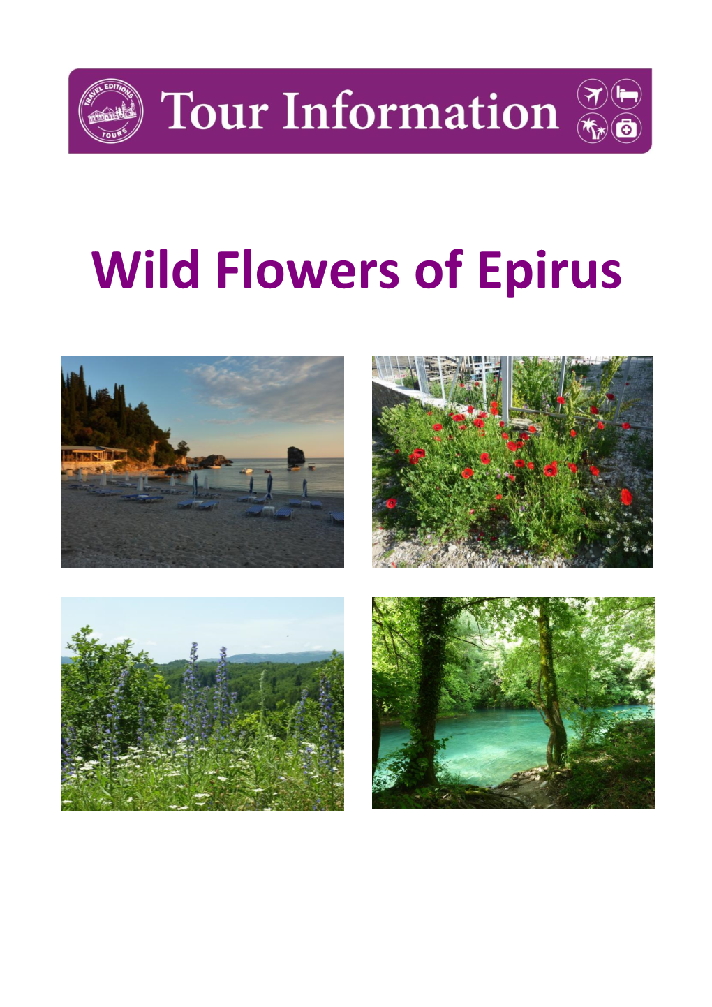 Wild Flowers of Epirus