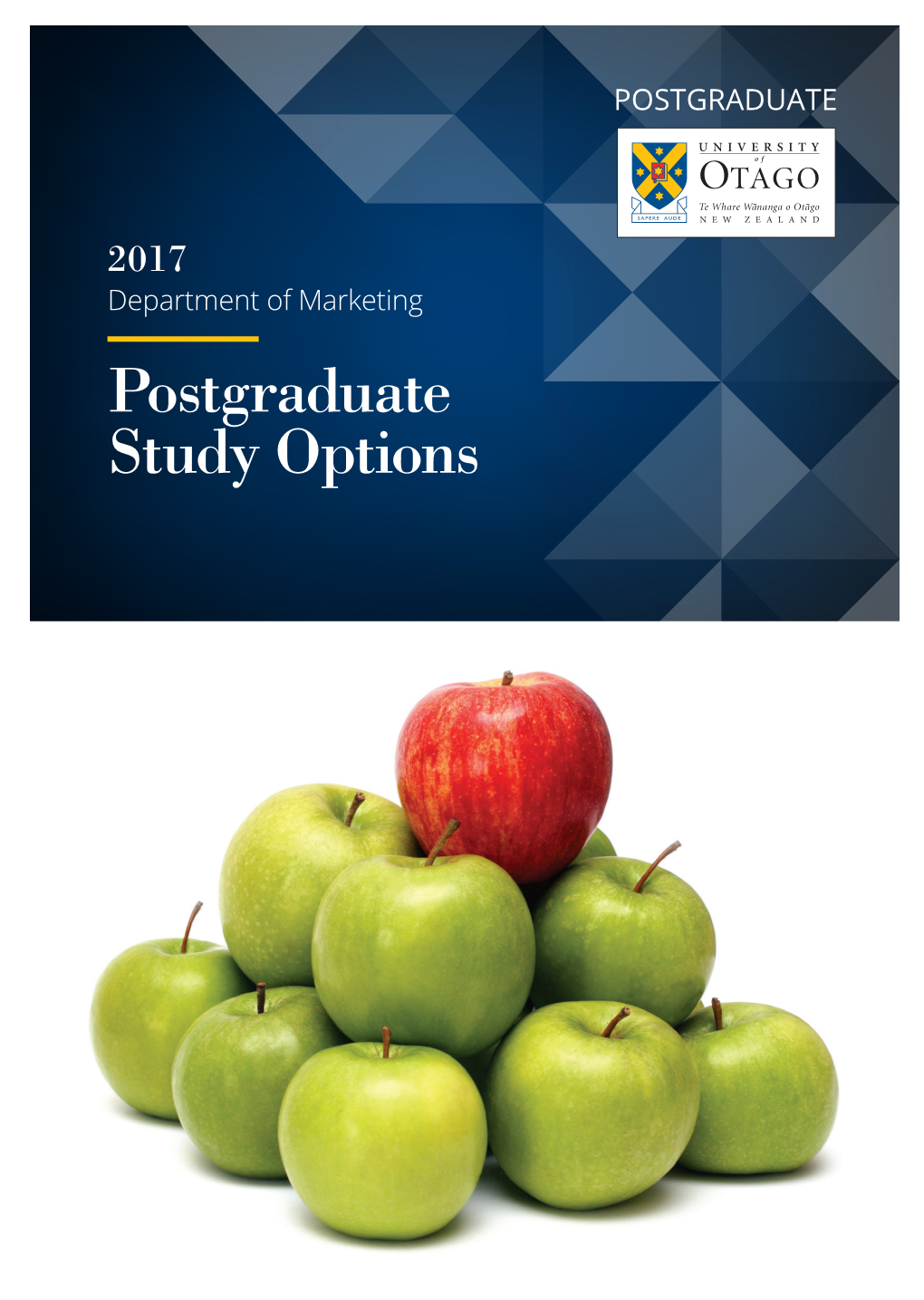 Postgraduate Study Options