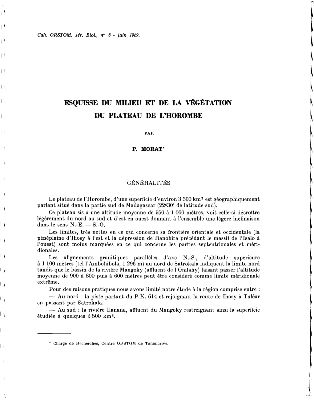 Esquisse Du Milieu Et De La Végétation Du Plateau De L'horombe 7