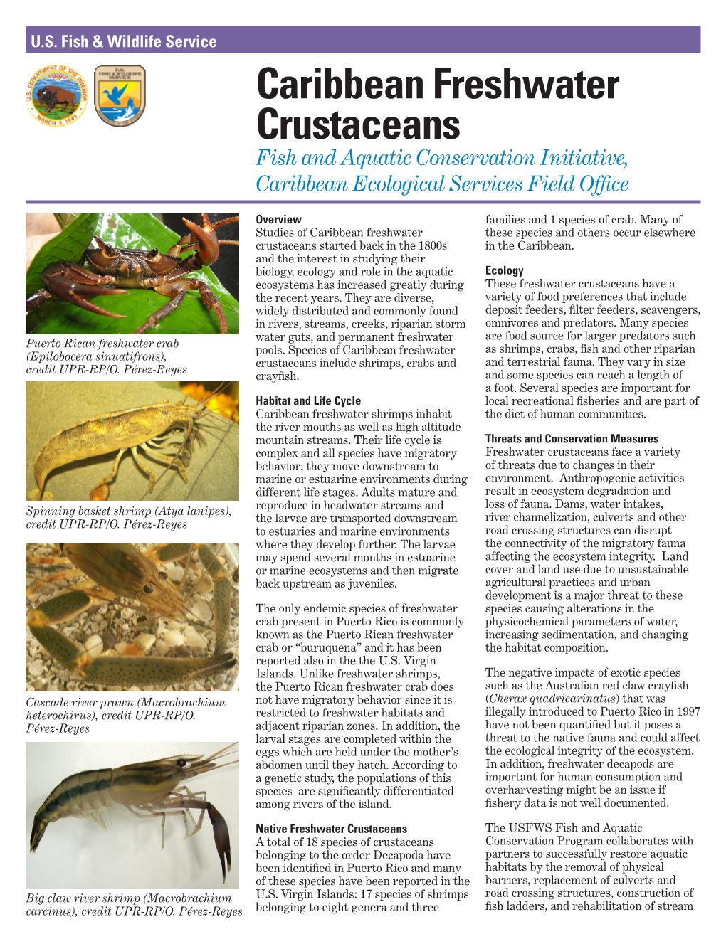 Caribbean Freshwater Crustaceans Fish and Aquatic Conservation Initiative, Caribbean Ecological Services Field Office