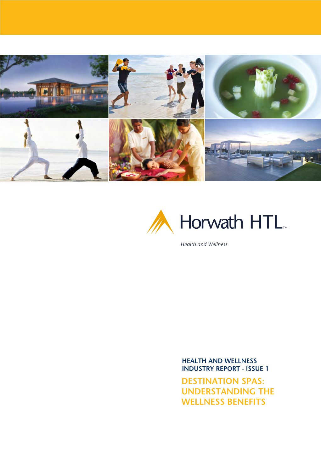 Horwath Health and Wellness White Paper 2014