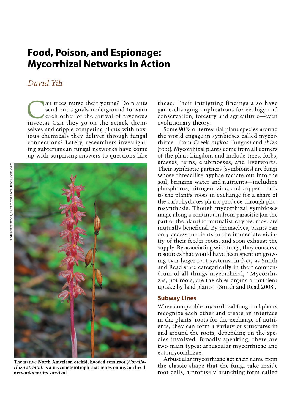 Food, Poison, and Espionage: Mycorrhizal Networks in Action