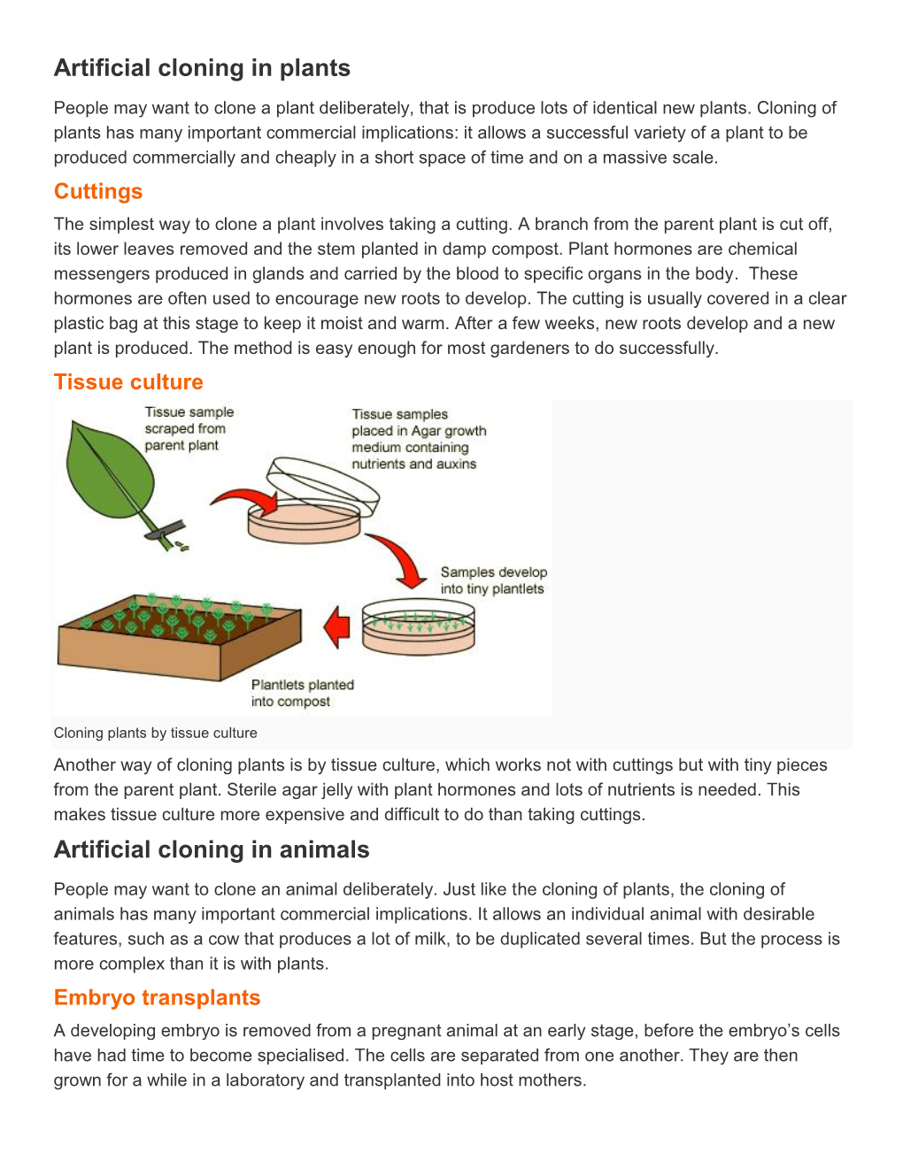 Artificial Cloning in Plants