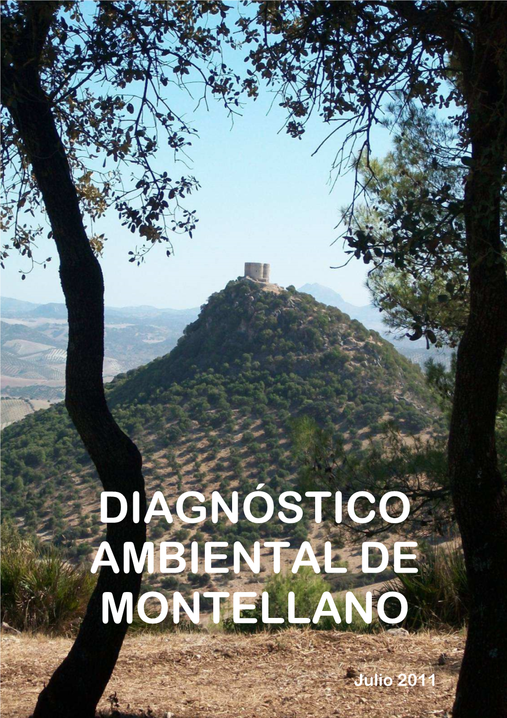 Diagnosis Tecnica Montellano