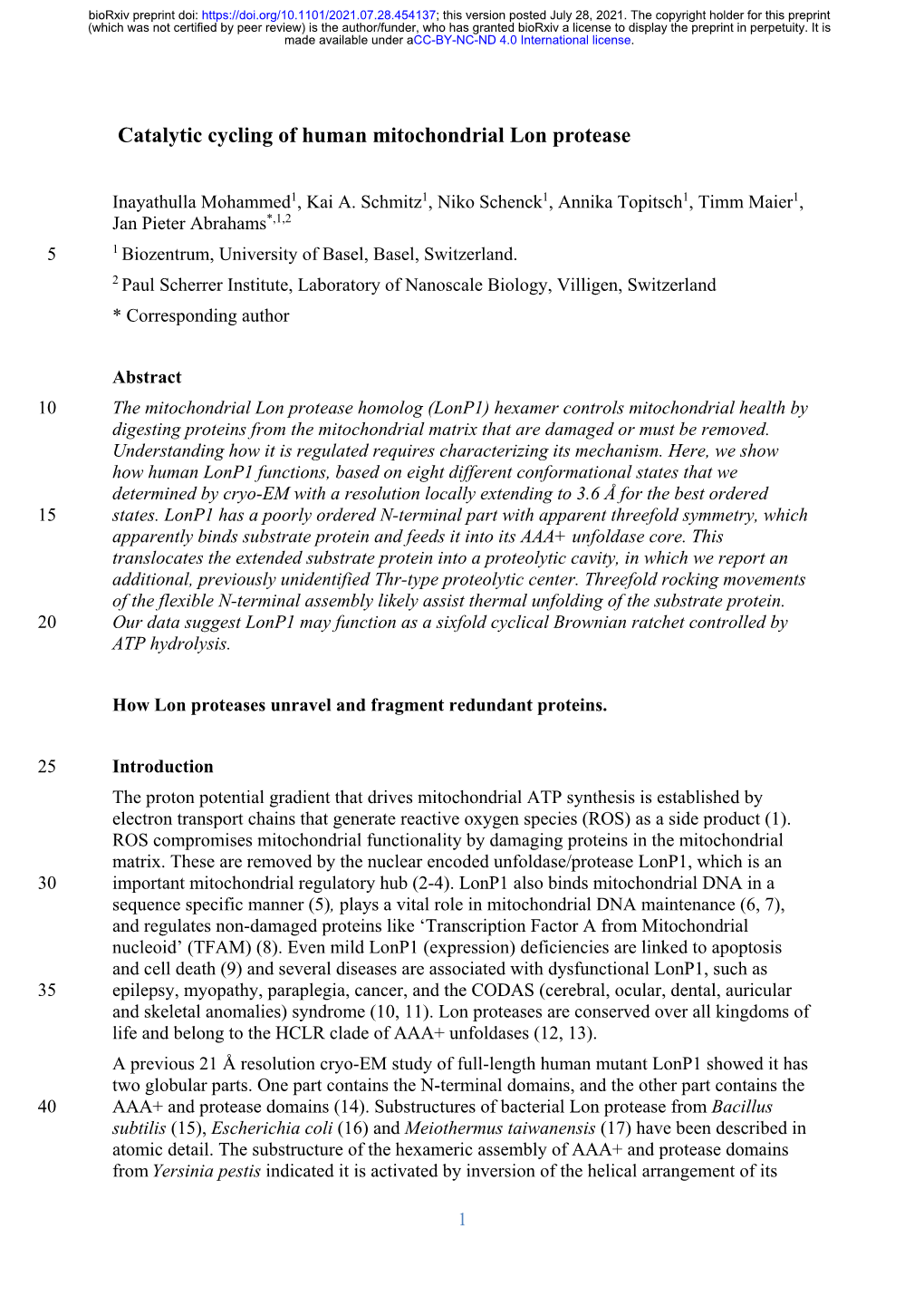 Catalytic Cycling of Human Mitochondrial Lon Protease