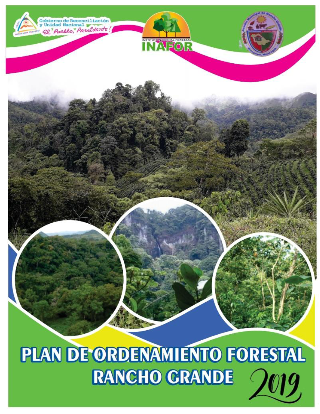 Plan De Ordenamiento Forestal Rancho Grande 2017