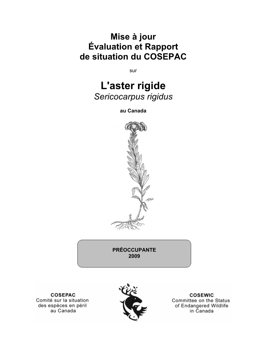 L'aster Rigide (Sericocarpus Rigidus) Au Canada – Mise À Jour
