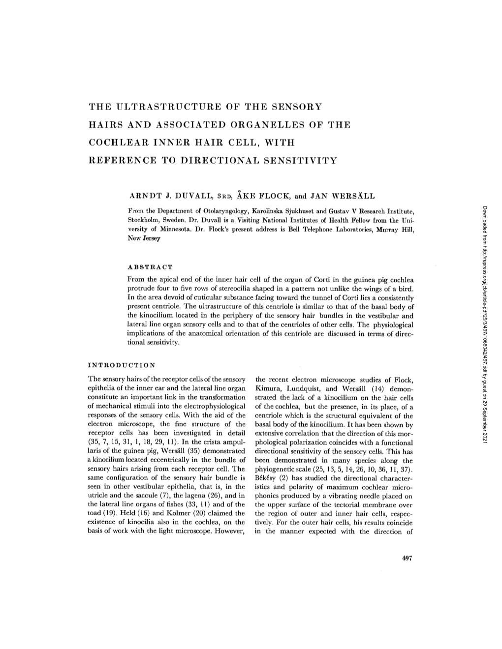 The Ultrastructure of the Sensory Hairs And