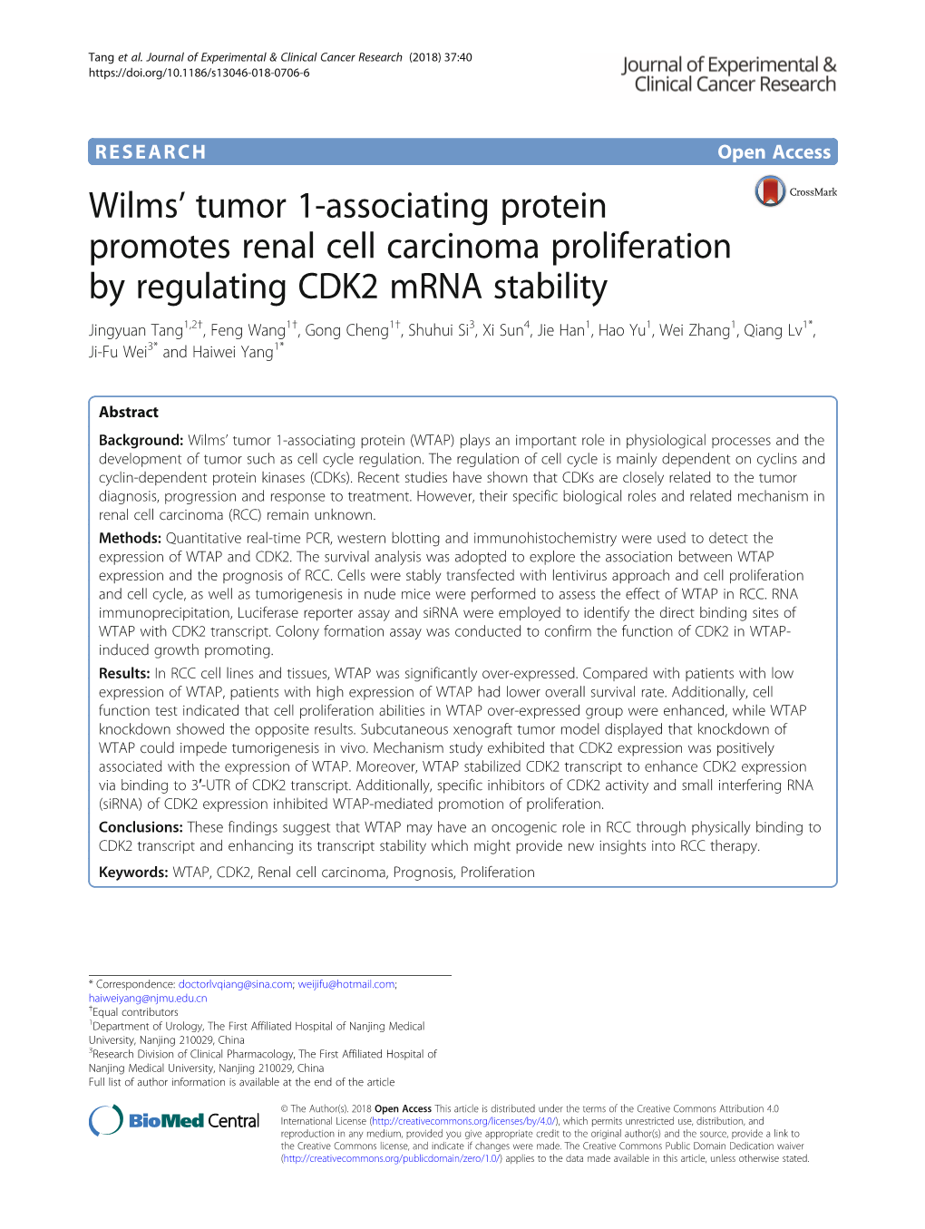 Wilms' Tumor 1-Associating Protein Promotes Renal Cell Carcinoma