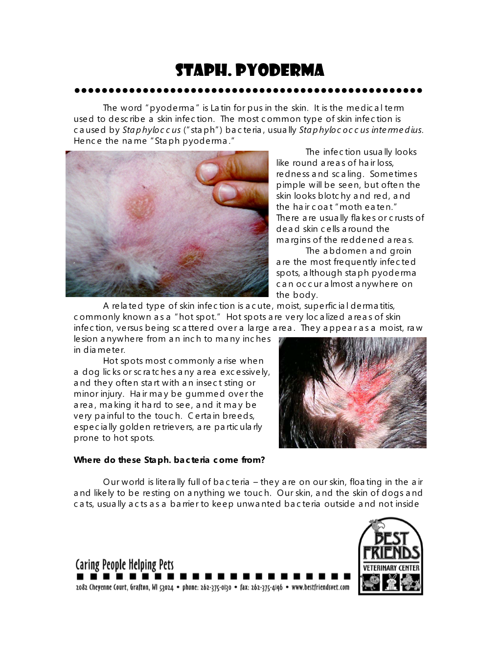 Pyoderma W Pix 2021.Pdf