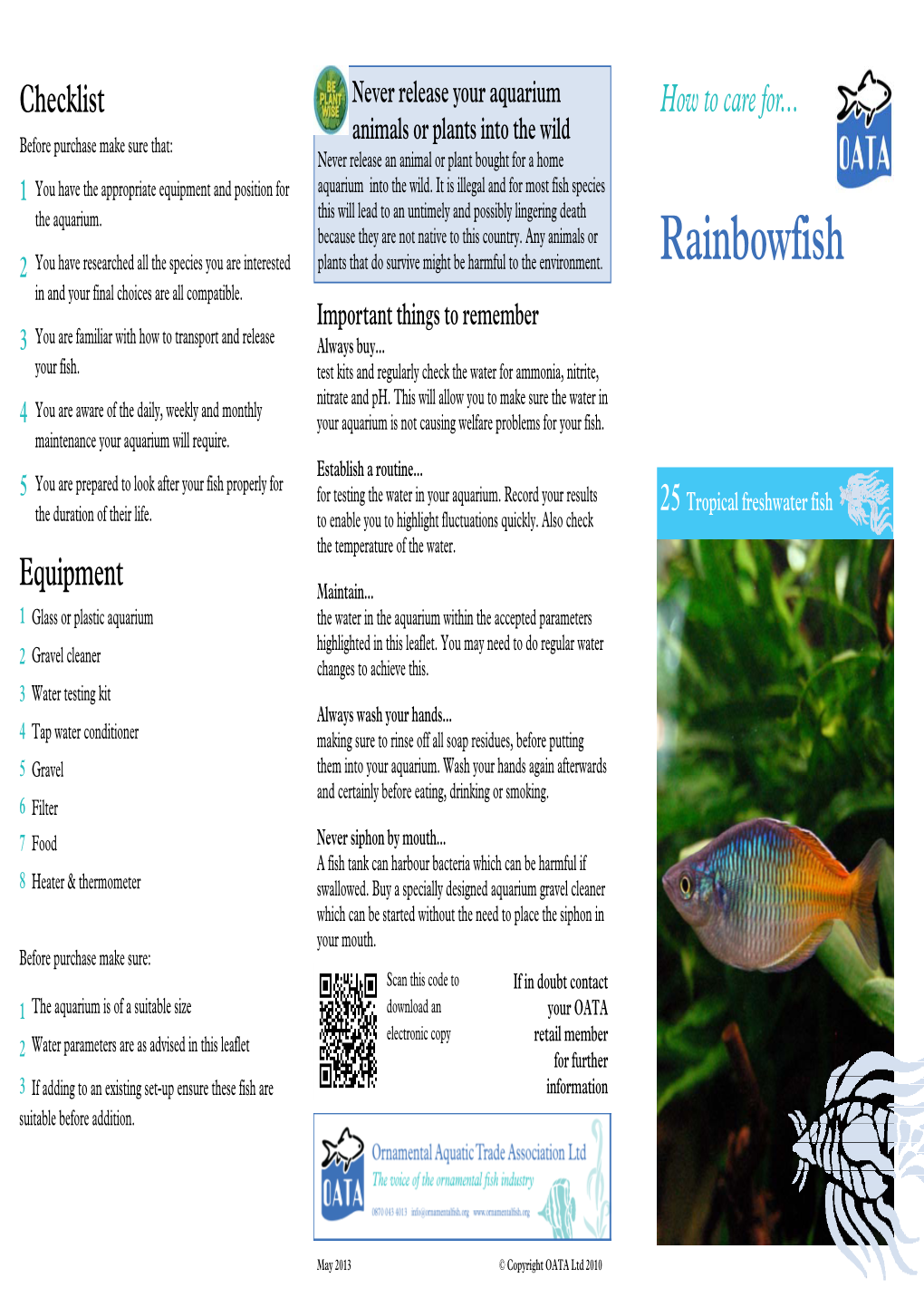 25 Rainbowfish