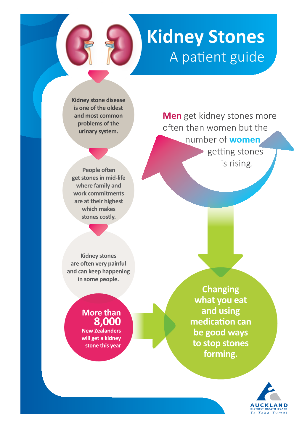 Kidney Stones – a Patient Guide