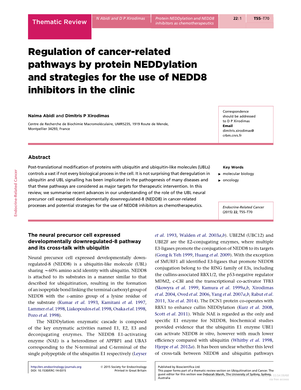 Regulation of Cancer-Related Pathways by Protein Neddylation and Strategies for the Use of NEDD8 Inhibitors in the Clinic