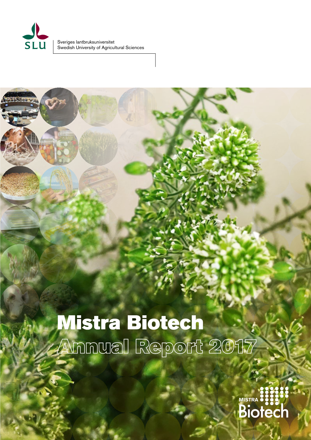 Mistra Biotech Annual Report 2017