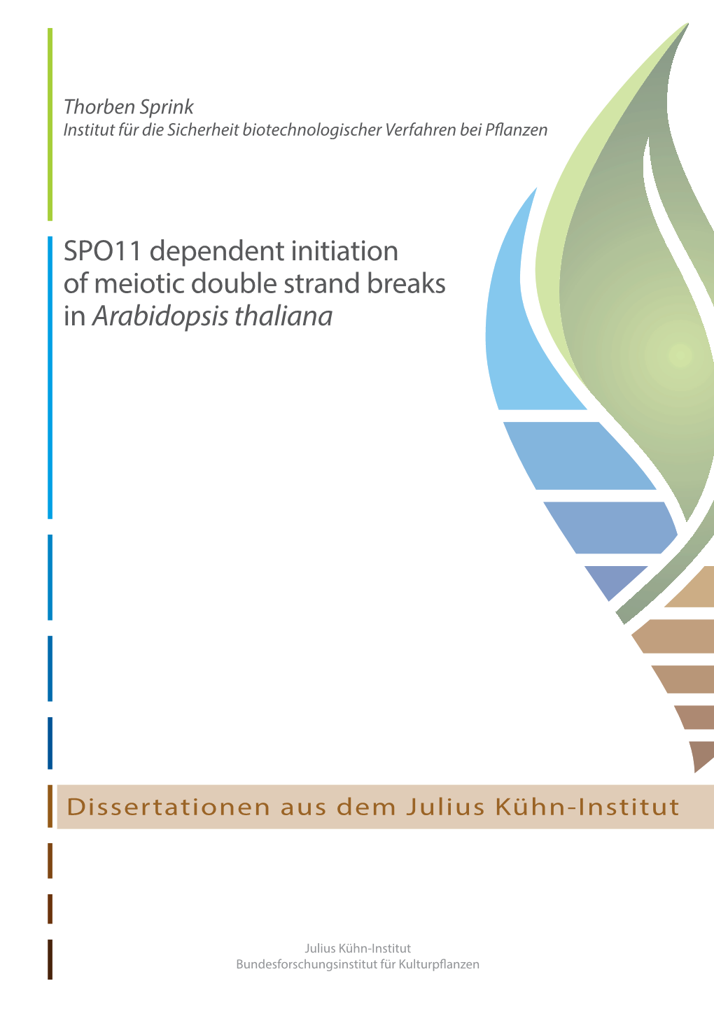 SPO11 Dependent Initiation of Meiotic Double Strand Breaks in Arabidopsis Thaliana