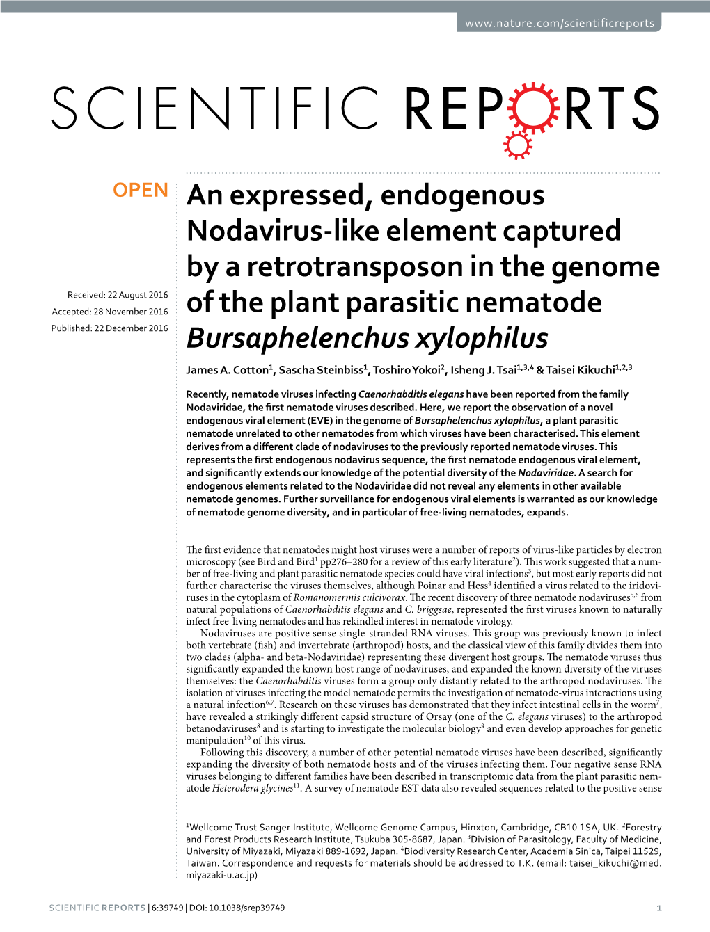 An Expressed, Endogenous Nodavirus-Like Element Captured by A