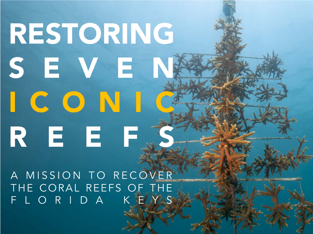 Mission Iconic Reefs Will Enlist on the Ground Support from the Florida Keys Community