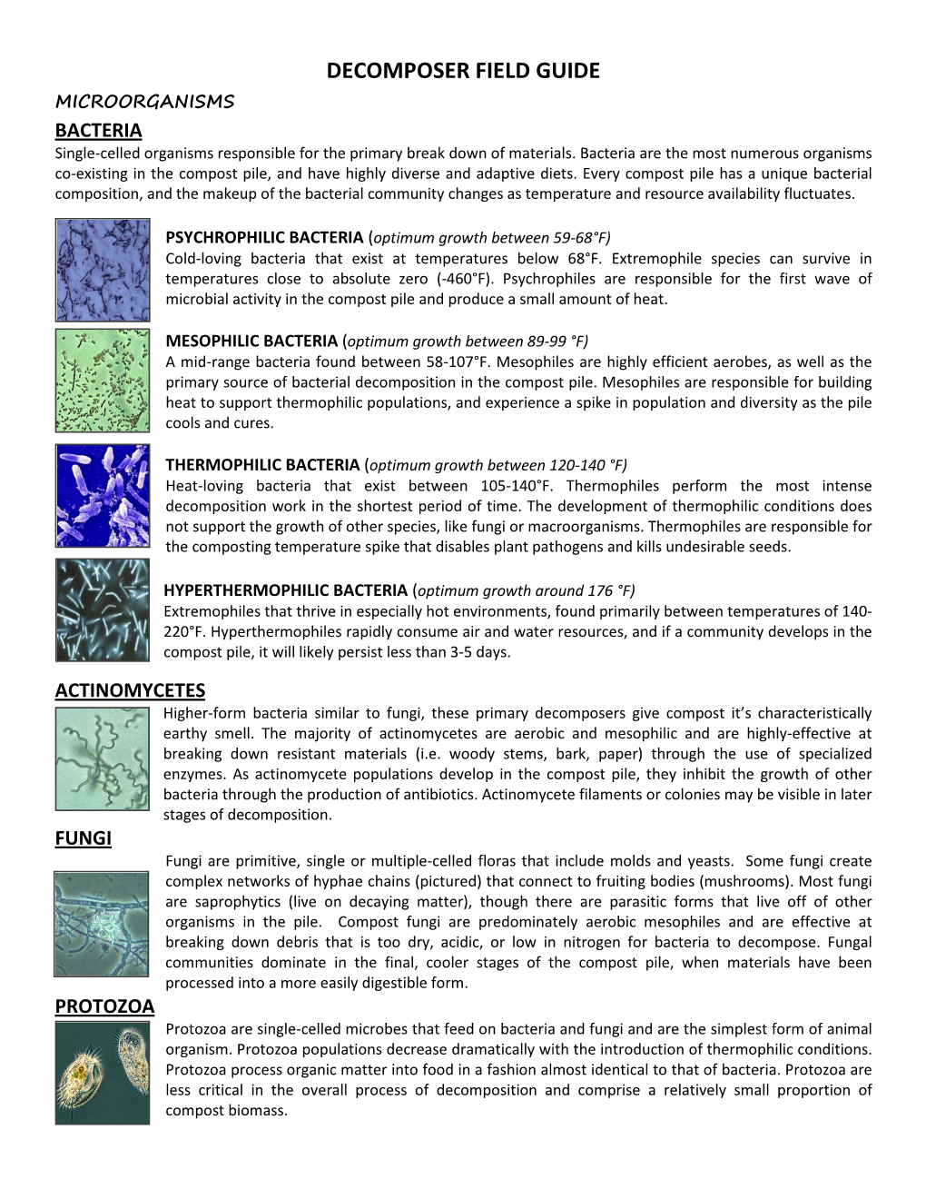 DECOMPOSER FIELD GUIDE MICROORGANISMS BACTERIA Single-Celled Organisms Responsible for the Primary Break Down of Materials