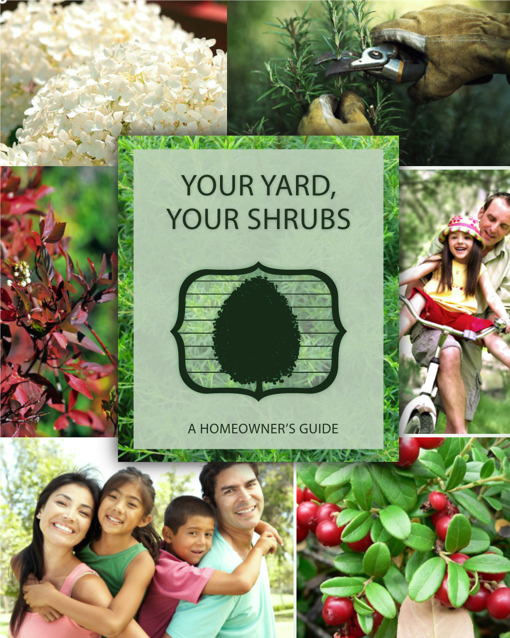 Your Yard, Your Shrubs