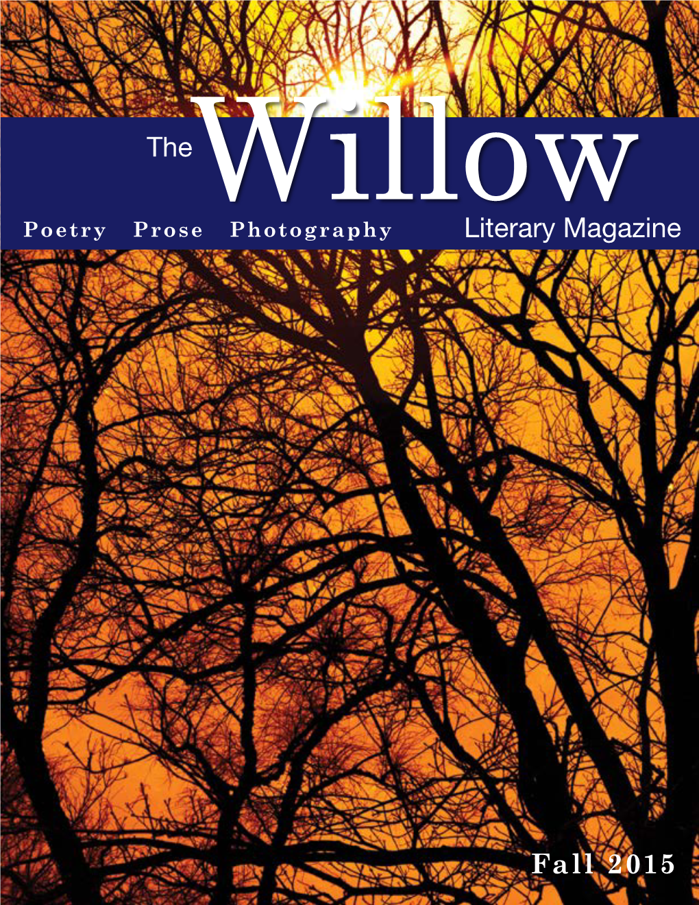 Literary Magazine the Fall 2015