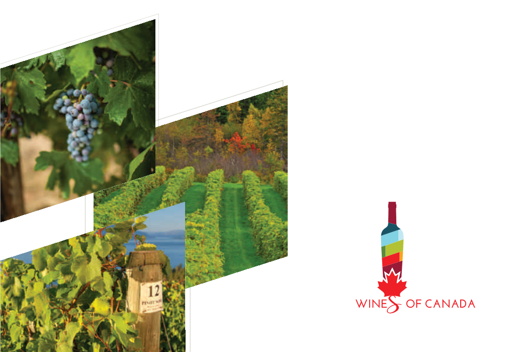 Wineries of Canada Brochure