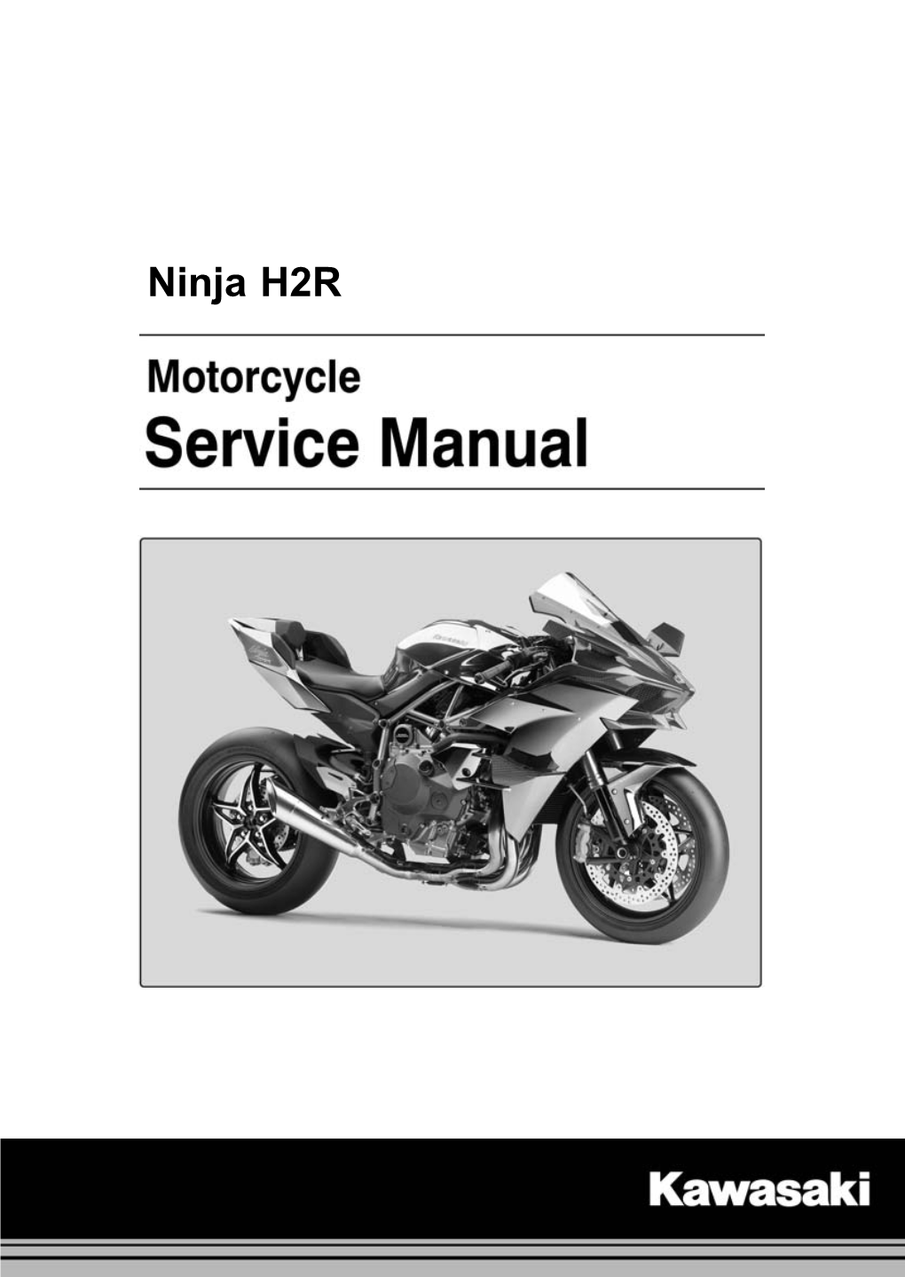 Kawasaki Ninja H2R (2015) Service