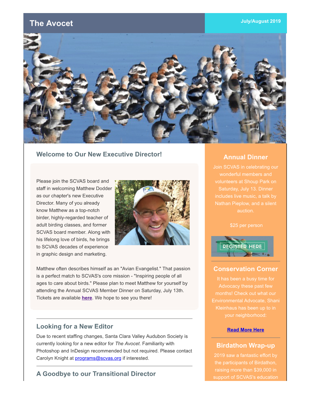 The Avocet July/August 2019