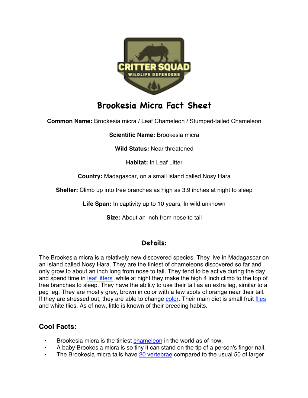 Brookesia Micra Fact Sheet