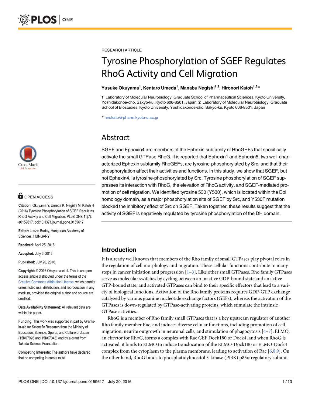 Tyrosine Phosphorylation of SGEF Regulates Rhog Activity and Cell Migration