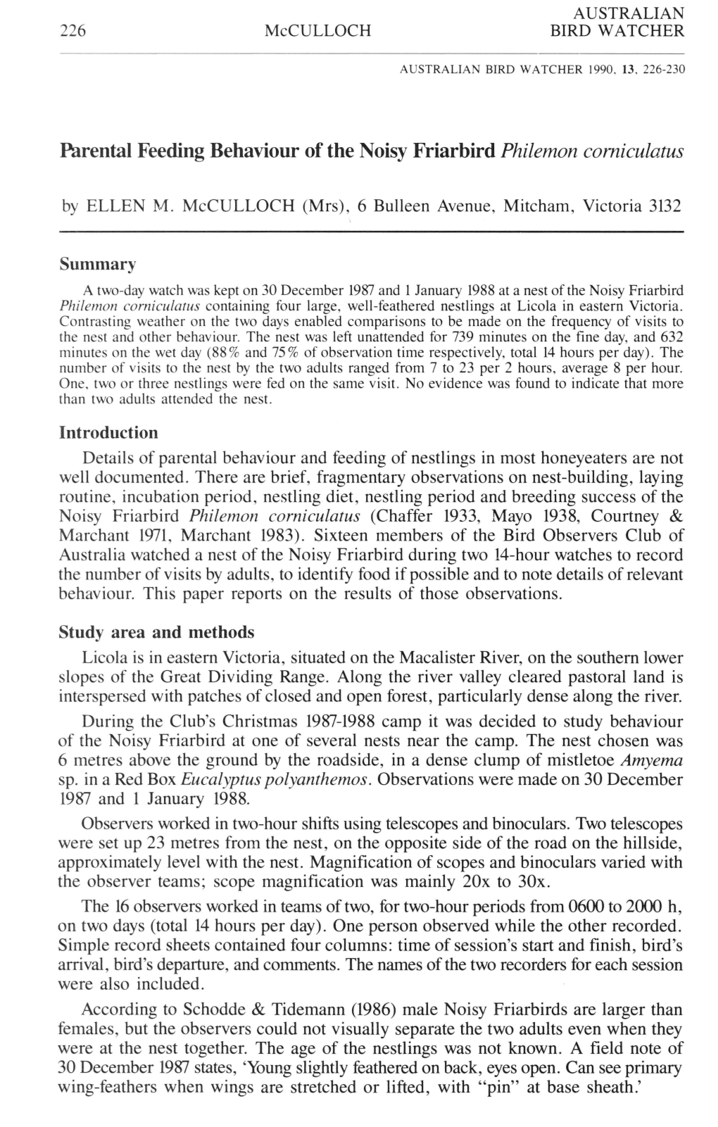 Parental Feeding Behaviour of the Noisy Friarbird Philemon Comiculatus