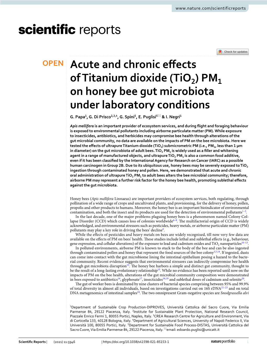 Acute and Chronic Effects of Titanium Dioxide (Tio2) PM1 on Honey Bee