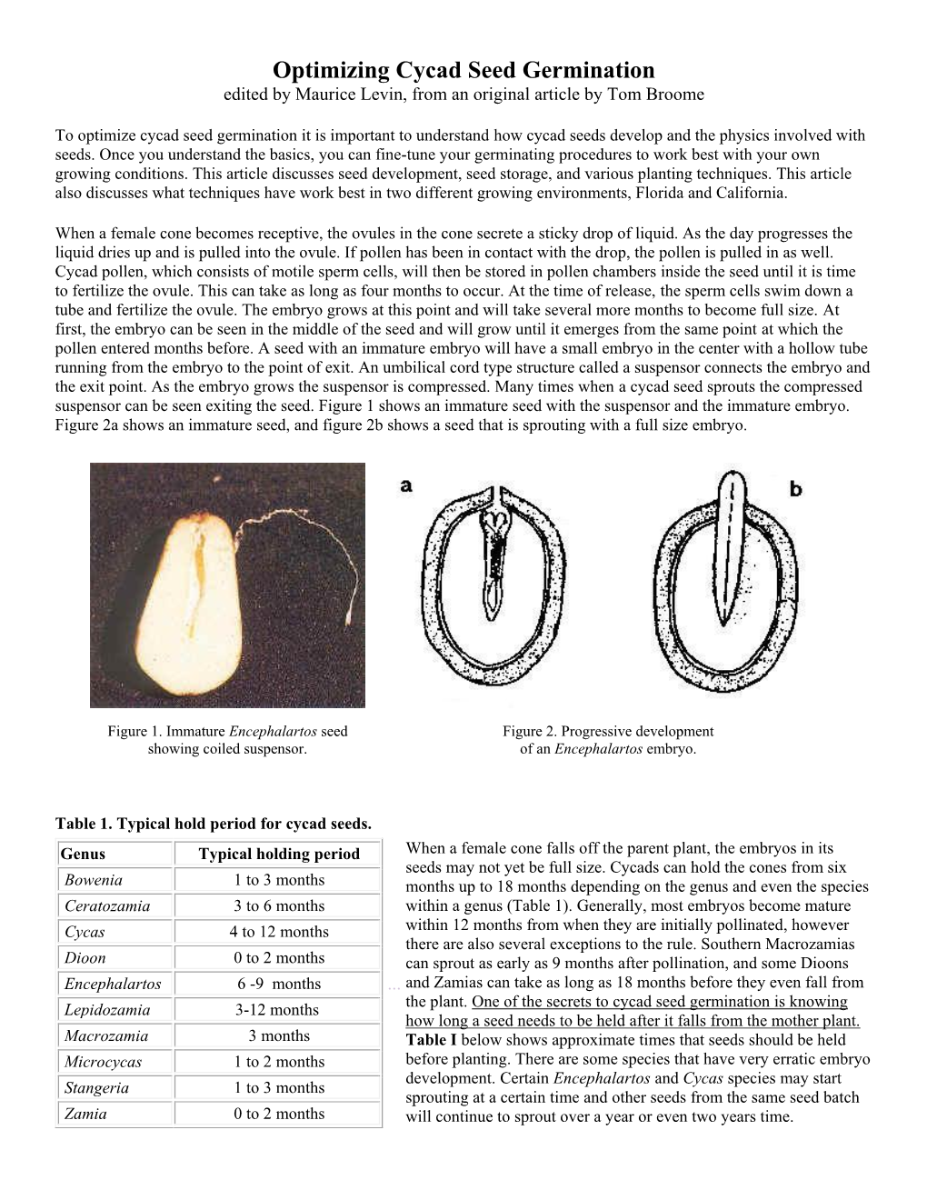 How to Optimize Cycad Seed Germination