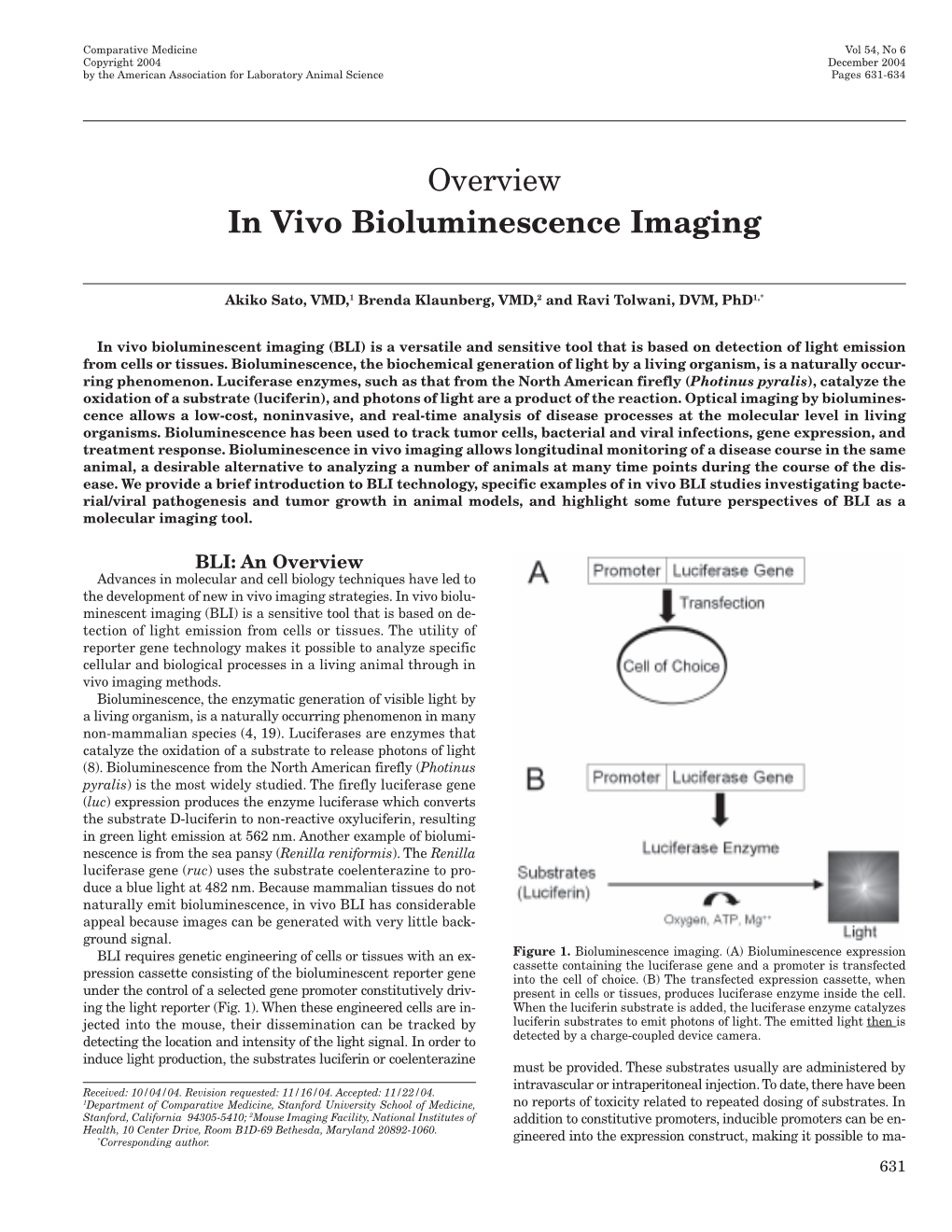 In Vivo Bioluminescence Imaging