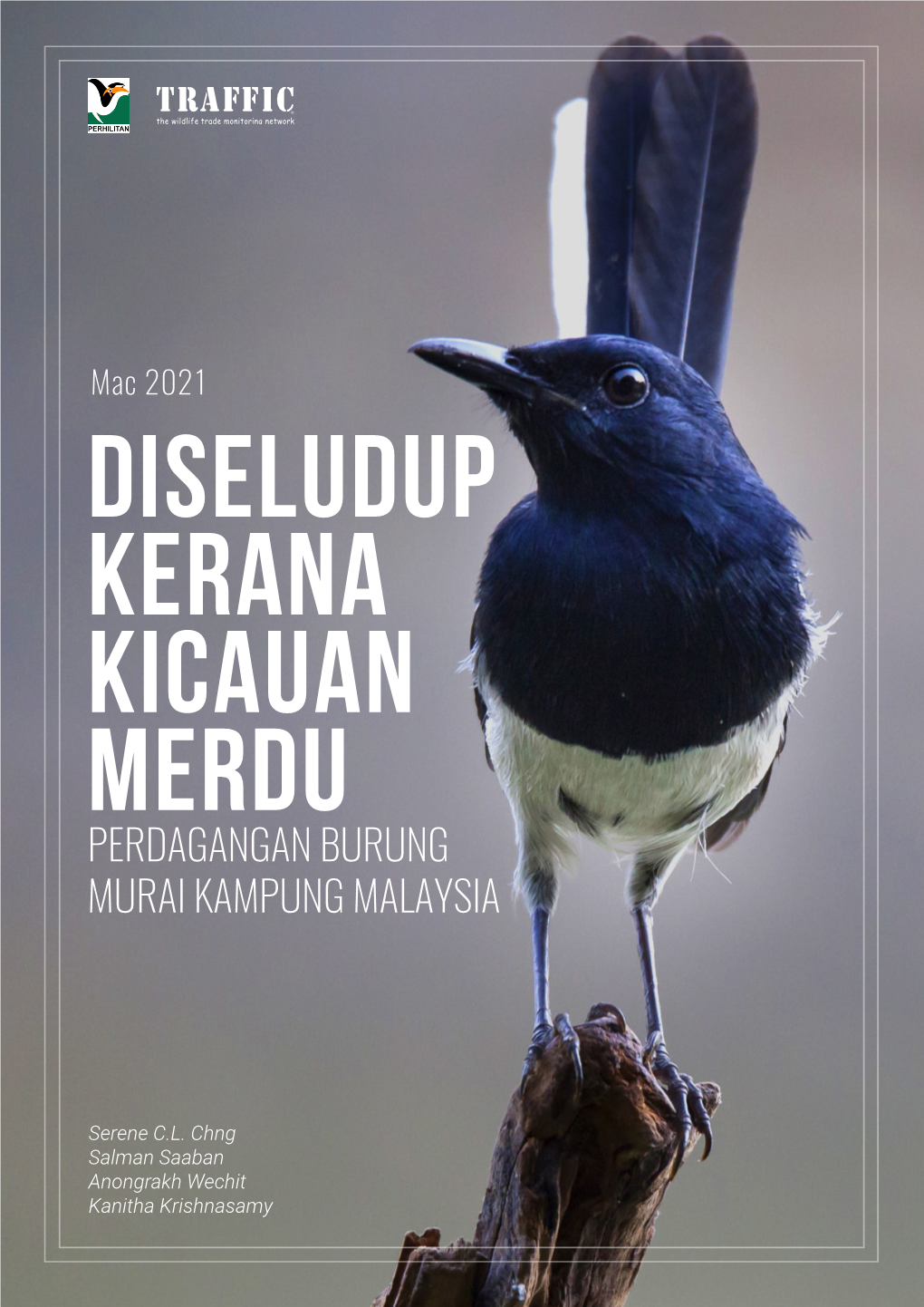 Perdagangan Burung Murai Kampung Malaysia