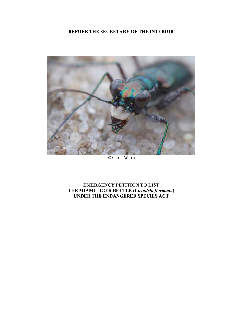 Miami Tiger Beetle Emergency Petition