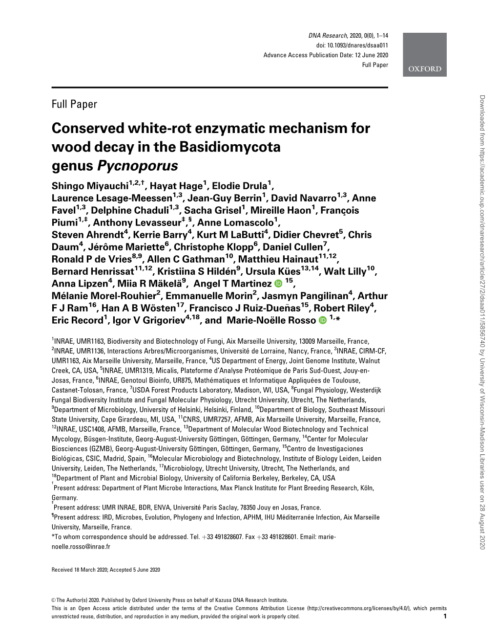 Conserved White-Rot Enzymatic Mechanism for Wood Decay In