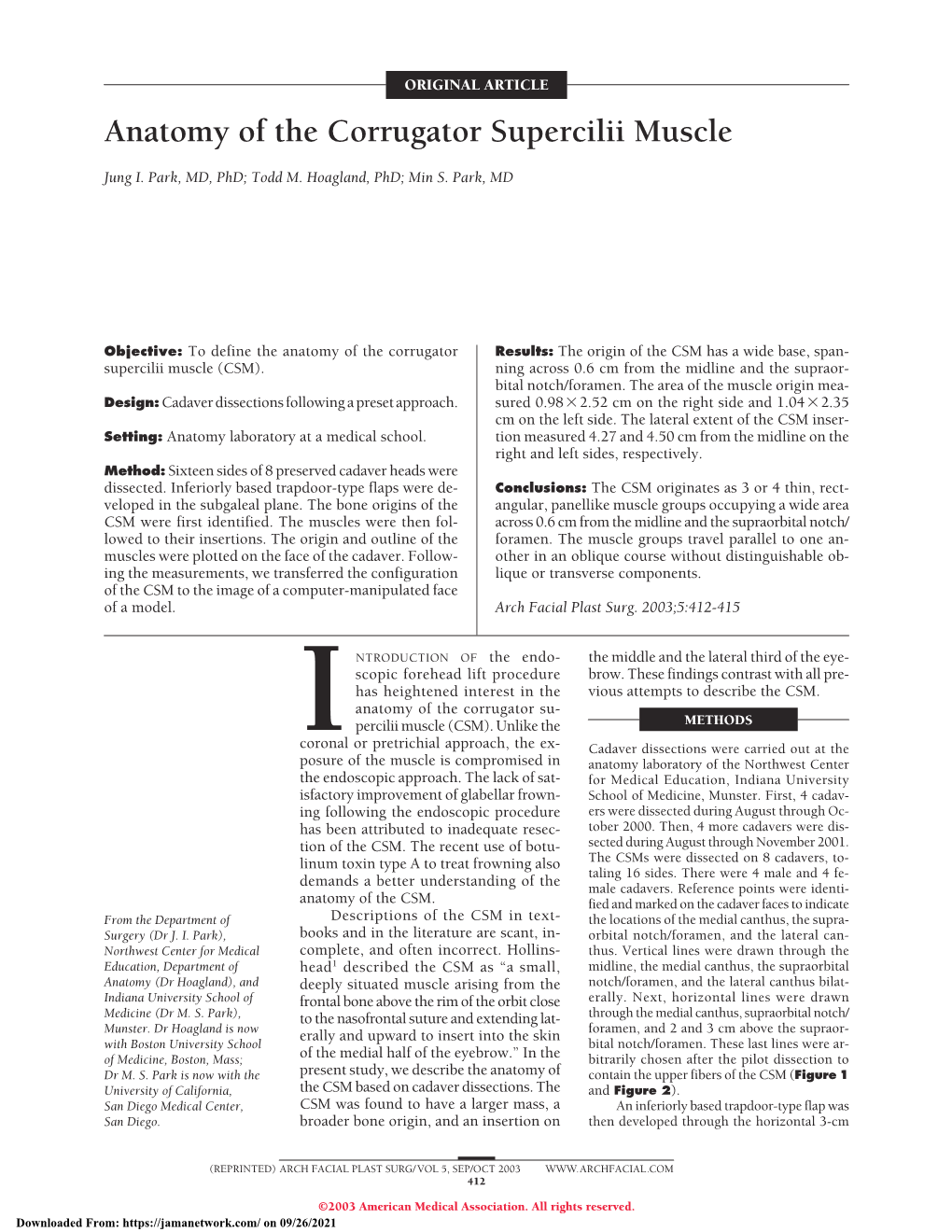 Anatomy of the Corrugator Supercilii Muscle