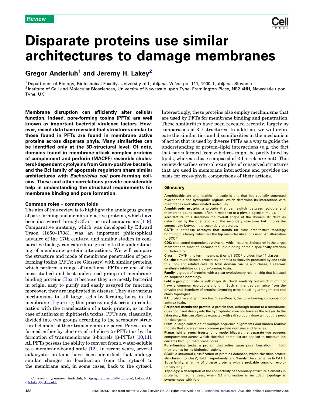 Disparate Proteins Use Similar Architectures to Damage Membranes