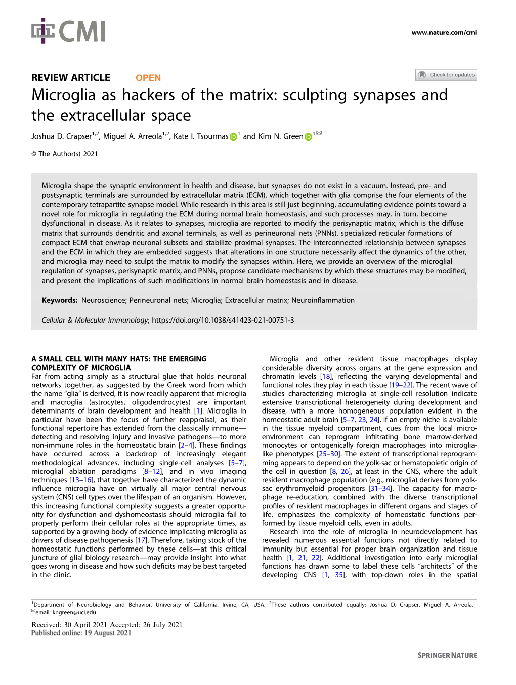 Sculpting Synapses and the Extracellular Space ✉ Joshua D