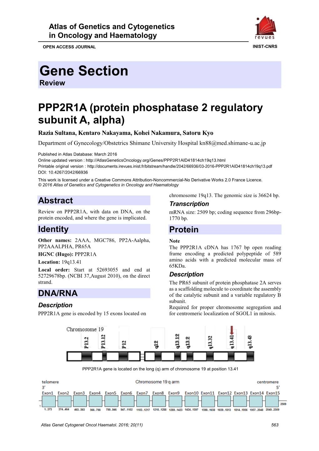 Gene Section Review