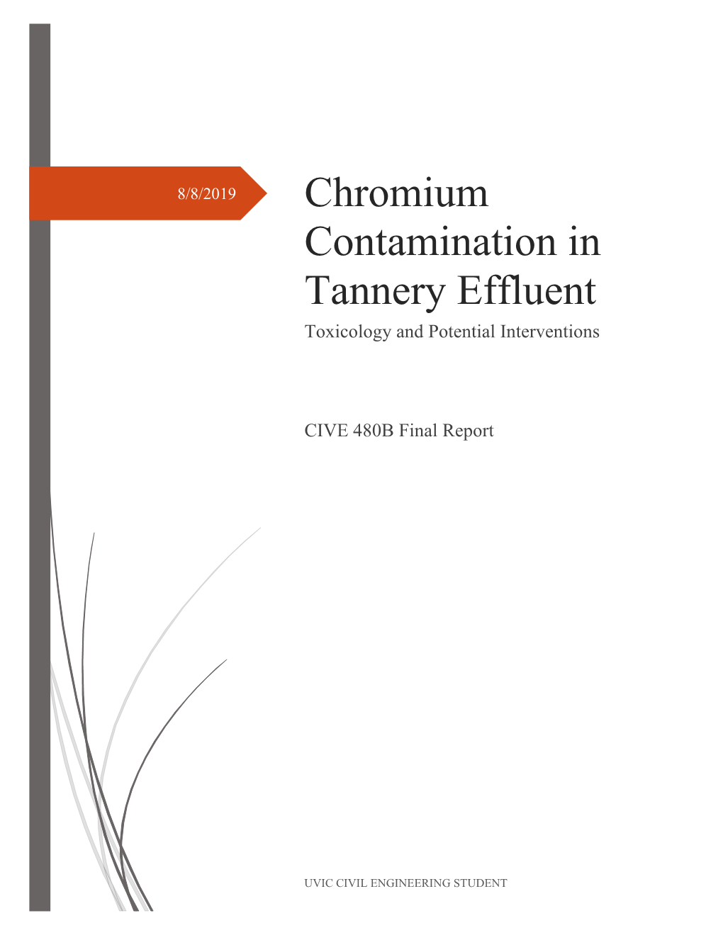 Chromium Contamination in Tannery Effluent Toxicology and Potential Interventions