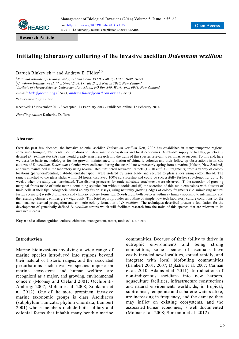 Initiating Laboratory Culturing of the Invasive Ascidian Didemnum Vexillum